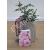 Keep Smiling Potted Rose - Gift Set - view 2